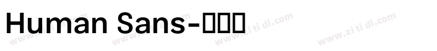 Human Sans字体转换